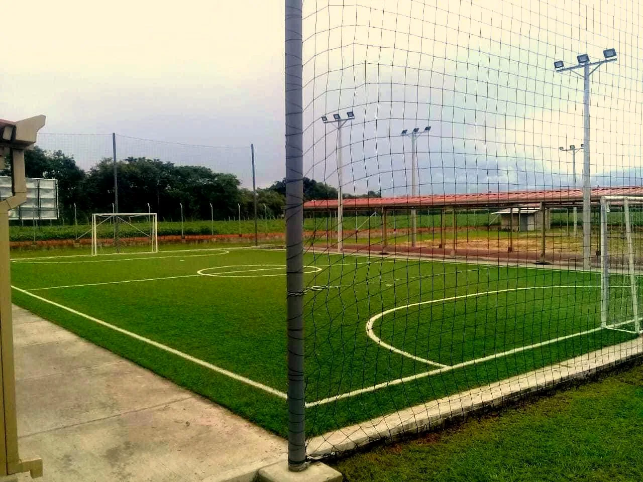 Deportes
